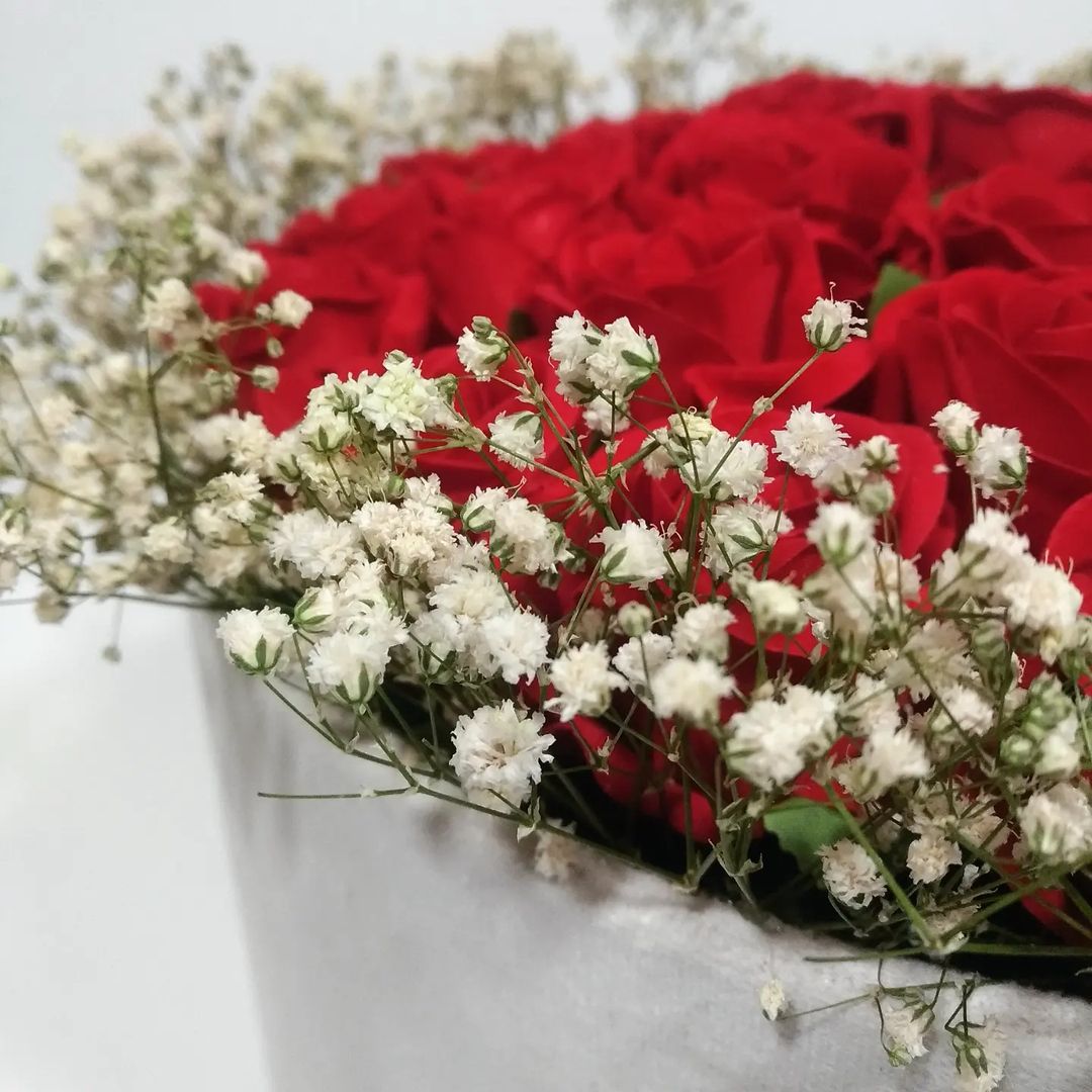 310695095_842403093804467_4664049727883076781_n